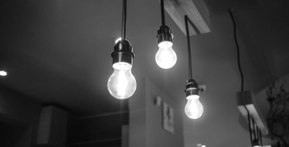 bulbs, 3 bulbs, 3 lecciones