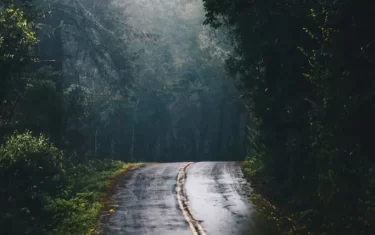 Carretera-De-Cemento-Gris-En-Medio-De-La-Jungla-Durante-El-Dia-giros-inseperados