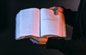 Teología vs Evangelismo pexels-jibarofoto-1771217