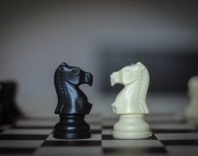 Unos son de Pablo y otros de Apolos dajanny_berges miguel_nuñez pexels-beytlik-7644275