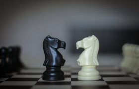 Unos son de Pablo y otros de Apolos dajanny_berges miguel_nuñez pexels-beytlik-7644275